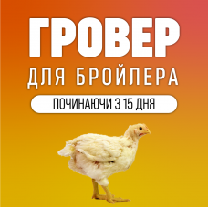 Гровер для бройлера з 15 дня
