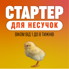 Стартер для несучок віком від 1 до 8 тижнів