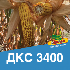 Насіння кукурудзи ДКС 3400 (ФАО 240)