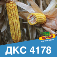 Насіння кукурудзи ДКС 4178 (ФАО 330)