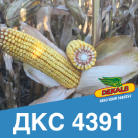 ДКС 4391 (ФАО 350)