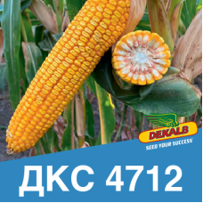 Насіння кукурудзи ДКС 4712 (ФАО 380)