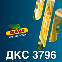 ДКС 3796 (ФАО 270)