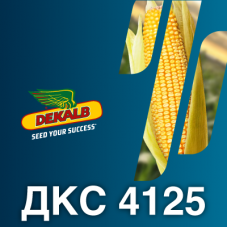 Насіння кукурудзи ДКС 4125 (ФАО 330)