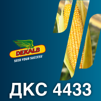 ДКС 4433 (ФАО 340)