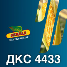 Насіння кукурудзи ДКС 4433 (ФАО 340)
