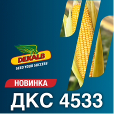 Насіння кукурудзи ДКС 4533 (ФАО 360)