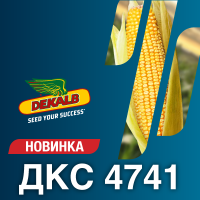ДКС 4741 (ФАО 370)
