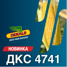 Насіння кукурудзи ДКС 4741 (ФАО 370)