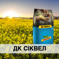 ДК Сіквел