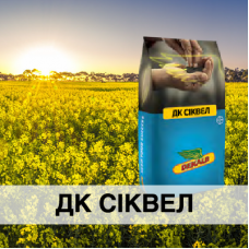 ДК Сіквел