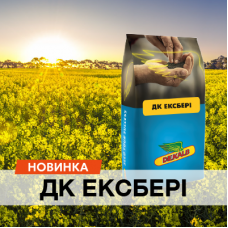 ДК Ексбері — середньостиглий гібрид із високим потенціалом продуктивності та водночас високою адаптивністю до технологій різного ресурсного забезпечення