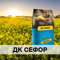 ДК Сефор
