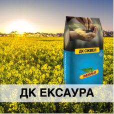 ДК Ексаура — середньостиглий гібрид із високим потенціалом урожайності та високим вмістом олії в насінні