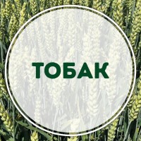 Тобак