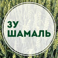 ЗУ Шамаль