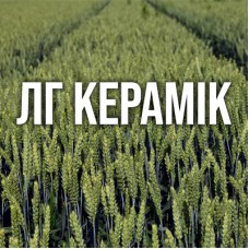 ЛГ Керамік