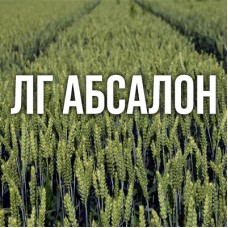 Озима пшениця ЛГ Абсалон
