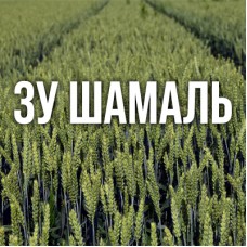 ЗУ Шамаль
