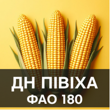Насіння кукурудзи ДН Півіха (ФАО 180)