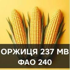 Насіння кукурудзи Оржиця 237 МВ (ФАО 230)