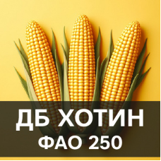 Насіння кукурудзи ДБ Хотин (ФАО 280)