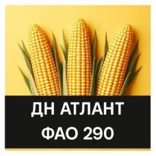 ДН Атлант (ФАО 290)