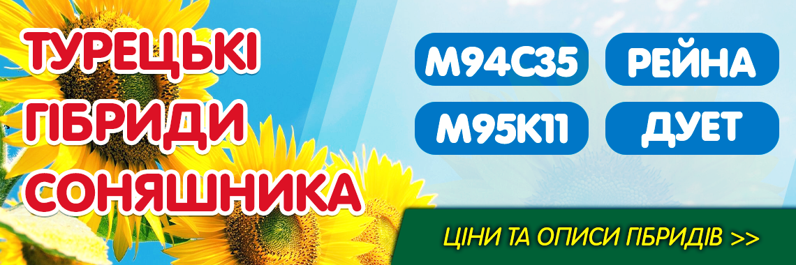 Турецькі гібриди соняшника