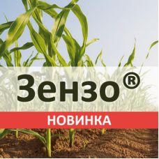 Зензо® — гербіцид для комплексного контролю злакових та дводольних бур’янів в посівах кукурудзи у післясходовий період