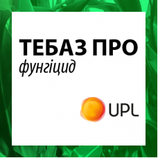 Тебаз Про, КС