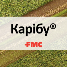 Карібу®, ВГ — базовий системний гербіцид для надійного контролю широкого спектру бур'янів у посівах цукрових буряків