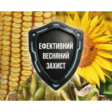 Ефективний весняний захист соняшнику, кукурудзи та сої