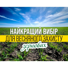 Гербіциди, що забезпечать найкращій весняний захист зернових