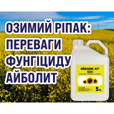 Озимий ріпак: використання фунгіциду Айболит у Степу й Лісостепу