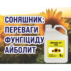 Соняшник: практичні переваги фунгіциду Айболит