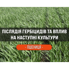 Пшениця: післядія гербіцидів та вплив на наступні культури