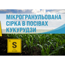 Мікрогранульована сірка по кукурудзі (Мікротіоль Сп. від UPL)