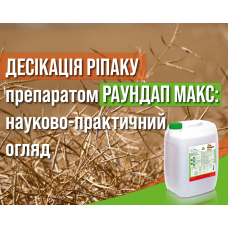 Десикація ріпаку Раундапом Макс: науково-практичний огляд