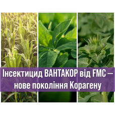 Інсектицид Вантакор від FMC — нове покоління Корагену