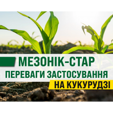 Переваги застосування гербіциду Мезонік-Стар на кукурудзі