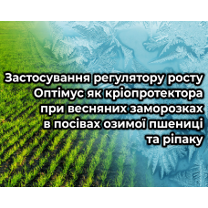 Оптімус як кріопротектор при весняних заморозках