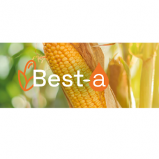 Best-A (Кукурудза) — біопрепарат для оптимізації врожайності кукурудзи