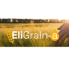 EliGrain-a — біопрепарат для оптимізації врожайності зернових колосових культур